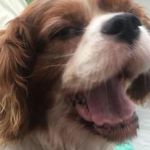 Kara Strickland - @karastrickland1457 - Instagram