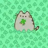 Lucky🍀 - @karasbrother - TikTok