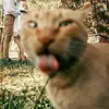 kara_Tarr�s - @kara_Tarr�s - TikTok