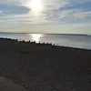 terrykara - @terrykara - TikTok