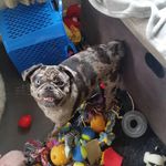 kara - @karathorne2009 - Instagram