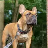 kara Tobin - @audiothefrenchie - TikTok