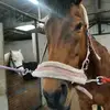 karatobin123 - @karatobin123 - TikTok