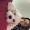 Karavallen - @karav_allen - TikTok