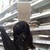 Vielle Chiara - Facebook