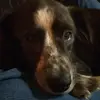 karah waite - @karah.waite - TikTok
