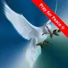 karanwaite - @karanwaite - TikTok