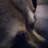 Kara Walden - @kara_walden_ - TikTok