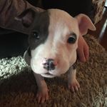 Kara Weller - @knwel - Instagram