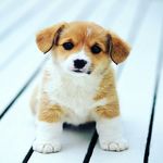 kara bella whiting - @sarada4536 - Instagram