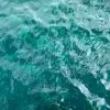 karanwild - @kara.wild - TikTok