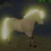 Kara(Wild horse Islands!) - @karawildhorseislands - TikTok