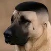 Wild Kara - @wild.kara3 - TikTok