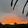 Karamea - @karamea.kahi - TikTok