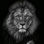karamjit singh - @karamjit_saini____ - Instagram