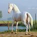 Karan Sra - Facebook