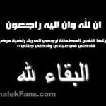 Kareem Askar - @kareemaskar1 - Instagram