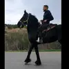Kareem Atallah - @kareematallah4 - TikTok