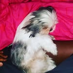 kareem daniel jr - @kjlilmoney2020 - Instagram