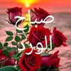 Kareem Eid✨ - @kareem.eid21 - TikTok