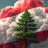 أم كريم 🇱🇧 - @kareemlynn - TikTok
