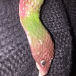 kareemlynnspamm - @kareemlynnspamm - Instagram