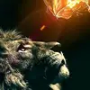 kareemreyes3 - @kareemreyes3 - TikTok