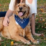 Karen Abate - @karenabate9777 - Instagram