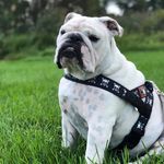 Karen S Abate - @karen.abate.3 - Instagram