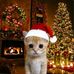 Keren Abella - Facebook