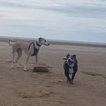 Karen Ackerley - @k.somerville65 - Instagram