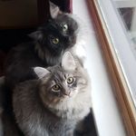 Karen Acuff Henderson - @karen.y.henderson69 - Instagram