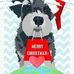 Karen Adderley - Facebook