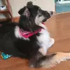 karenyager - @karenyager - TikTok
