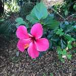 Karen Aitken - @karenaitken_ - Instagram