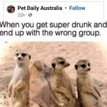 Karen Aitken - @karenaitkensmith - Instagram