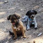 Karen Aitken - @karen.aitken.96 - Instagram