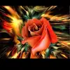 apple e - @karenalam6 - TikTok