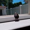 user4842180791610 - @karenandalivia - TikTok