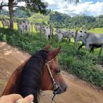 Karen Anselmo - Facebook