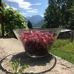 karen APPLETON - @maisondescerises - Instagram