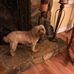 Karen N Bill Arledge - Facebook