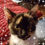 Karen Arrowsmith - Facebook