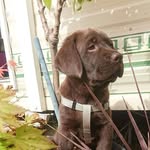 Karen Arrowsmith - @klindaarrowsmith - Instagram