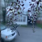 Karen Artz - @karenartz1 - Instagram