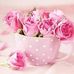 Karen Ashmore - Facebook