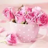 Karen Ashmore - @karenashmore8 - TikTok