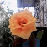 karen ♡ - @karenask_ - Instagram