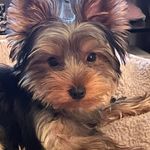 Karen Cabra Atchley - @karenatchley - Instagram