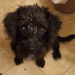 Karen Chandler Atchley - @whiskyinthewater - Instagram